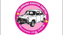 TRS Hopeful of Big Win as Campaigning For LS Polls Ends in Telangana